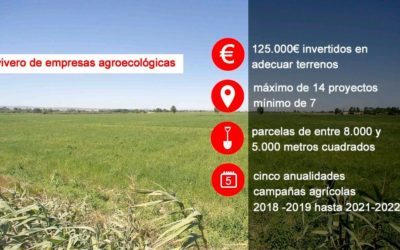 Abierto el plazo para presentar proyectos para las nuevas huertas de Agricultura Ecológica en Movera