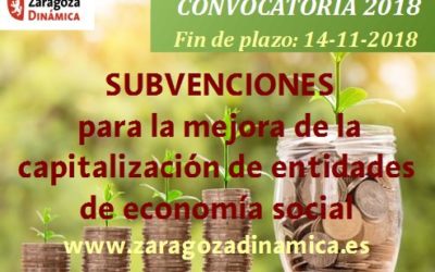 Subvenciones para la mejora de la capitalización de Entidades de Economía Social