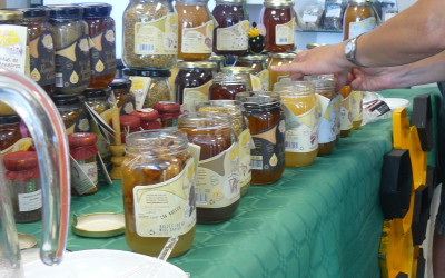 Cata de miel artesana y natural de monegros
