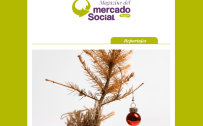 Mercado Social publica su boletín de diciembre