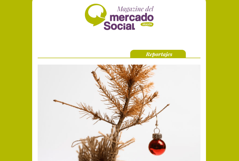 Mercado Social publica su boletín de diciembre