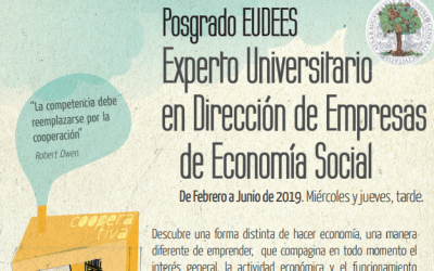 Curso Experto Universitario en Dirección de Empresas de Economía Social