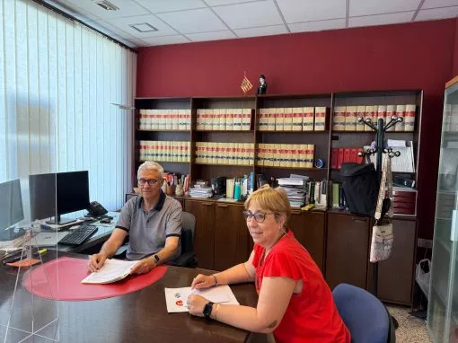 ALE Consultoría