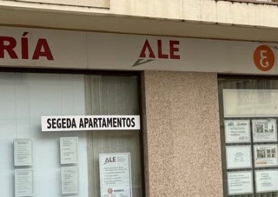 ALE Consultoría
